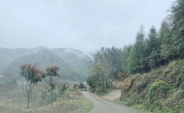 没有水的*** 三月碎碎念