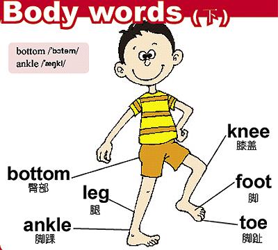 小学英语1-6年级单词系统分类